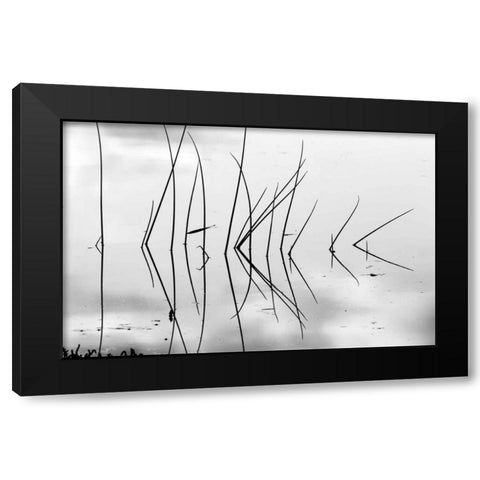 Reeds I Black Modern Wood Framed Art Print with Double Matting by Peterson, Lee