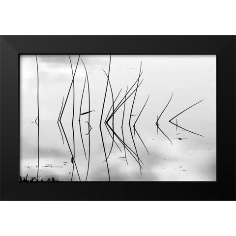 Reeds I Black Modern Wood Framed Art Print by Peterson, Lee