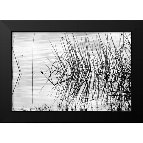 Reeds II Black Modern Wood Framed Art Print by Peterson, Lee