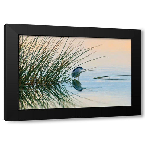 Bird II Black Modern Wood Framed Art Print by Peterson, Lee