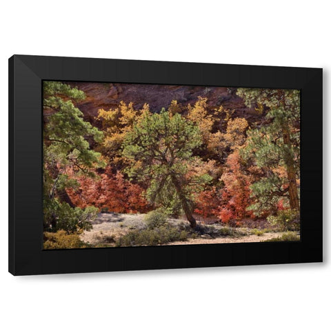 Fall Leaves V Black Modern Wood Framed Art Print with Double Matting by Peterson, Lee
