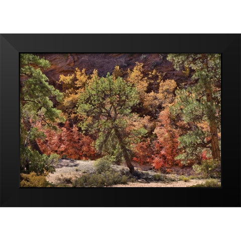 Fall Leaves V Black Modern Wood Framed Art Print by Peterson, Lee