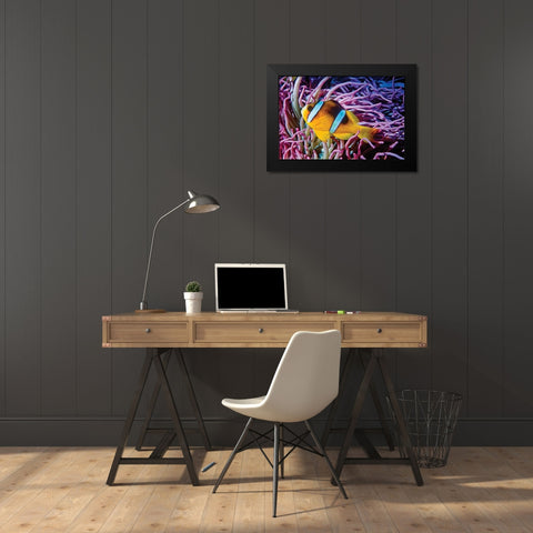 Fish II Black Modern Wood Framed Art Print by Peterson, Lee