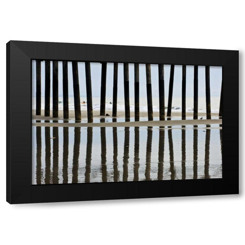 Pier Pilings II3 Black Modern Wood Framed Art Print with Double Matting by Peterson, Lee