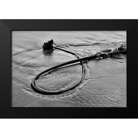 Seaweed Black Modern Wood Framed Art Print by Peterson, Lee