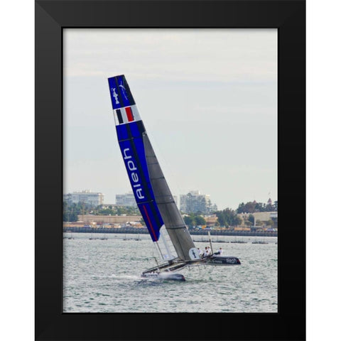 Americas Cup I Black Modern Wood Framed Art Print by Peterson, Lee