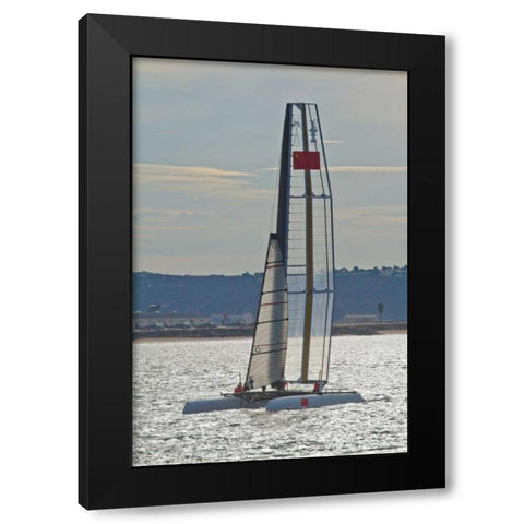 Americas Cup II Black Modern Wood Framed Art Print with Double Matting by Peterson, Lee