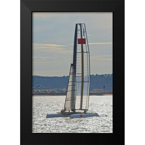 Americas Cup II Black Modern Wood Framed Art Print by Peterson, Lee
