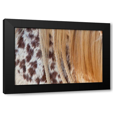 Horse Up Close II Black Modern Wood Framed Art Print with Double Matting by Peterson, Lee