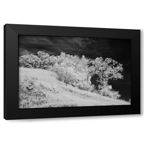 Cayucos III Black Modern Wood Framed Art Print with Double Matting by Peterson, Lee