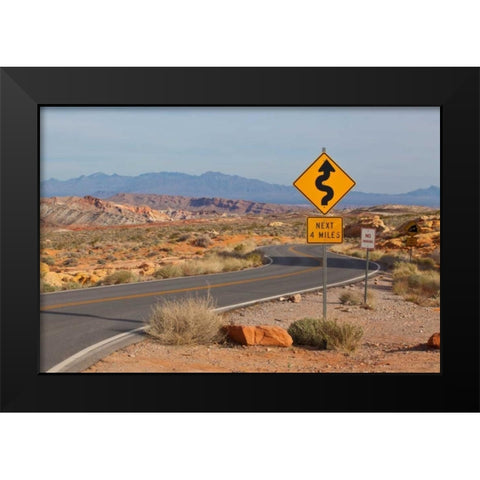 Desert Roads I Black Modern Wood Framed Art Print by Peterson, Lee