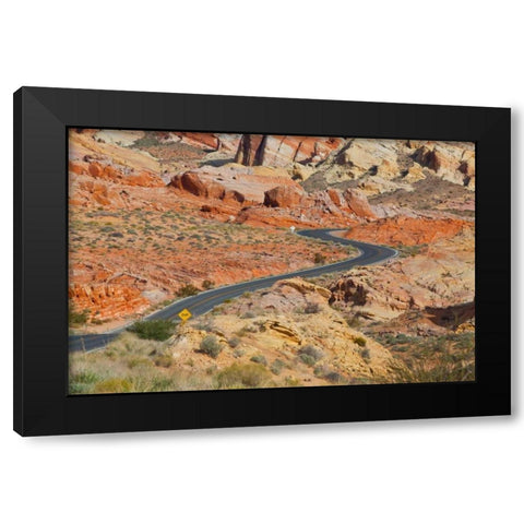 Desert Roads II Black Modern Wood Framed Art Print with Double Matting by Peterson, Lee