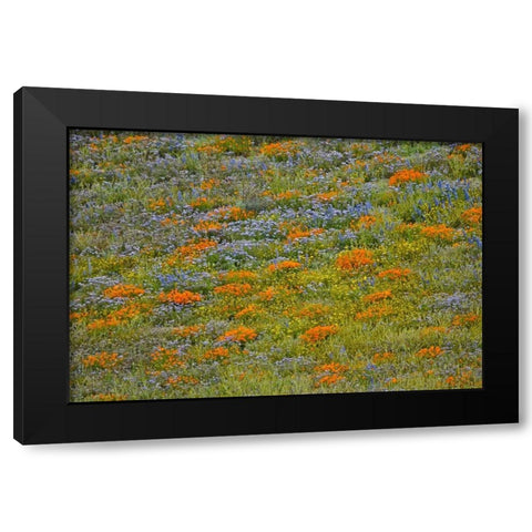 Wildflower Hills I Black Modern Wood Framed Art Print with Double Matting by Peterson, Lee
