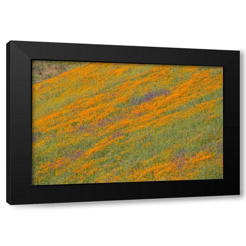 Wildflower Hills IV Black Modern Wood Framed Art Print with Double Matting by Peterson, Lee