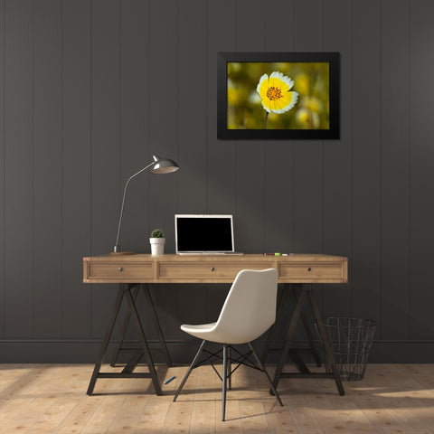 Yellow and White II Black Modern Wood Framed Art Print by Peterson, Lee