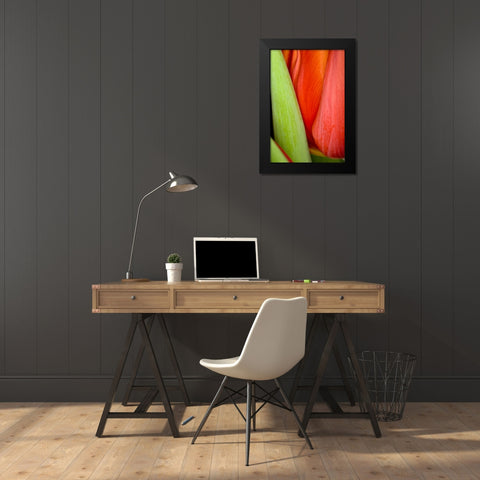 Tulip Detail I Black Modern Wood Framed Art Print by Peterson, Lee