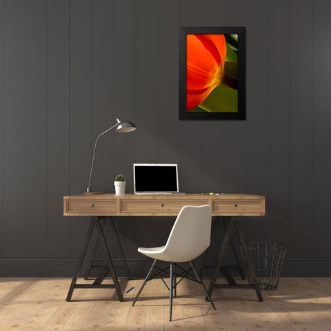 Tulip Detail II Black Modern Wood Framed Art Print by Peterson, Lee