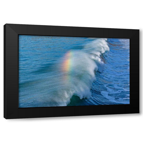 Rainbow Wave II Black Modern Wood Framed Art Print by Peterson, Lee