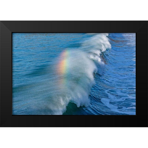 Rainbow Wave II Black Modern Wood Framed Art Print by Peterson, Lee