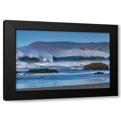 Waves in Cayucos II Black Modern Wood Framed Art Print by Peterson, Lee