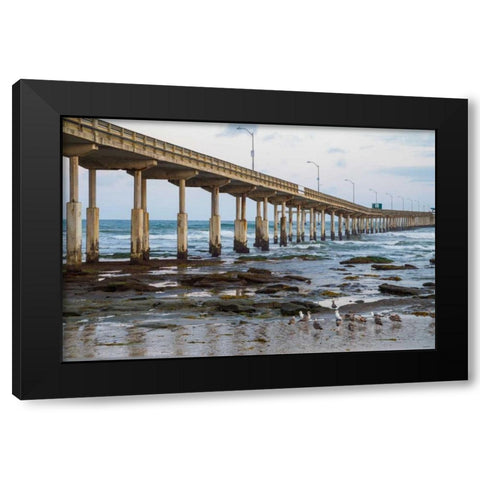Ocean Beach Pier I Black Modern Wood Framed Art Print by Peterson, Lee