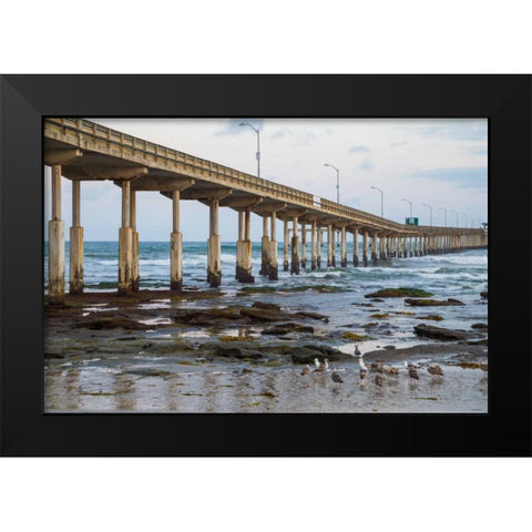 Ocean Beach Pier I Black Modern Wood Framed Art Print by Peterson, Lee