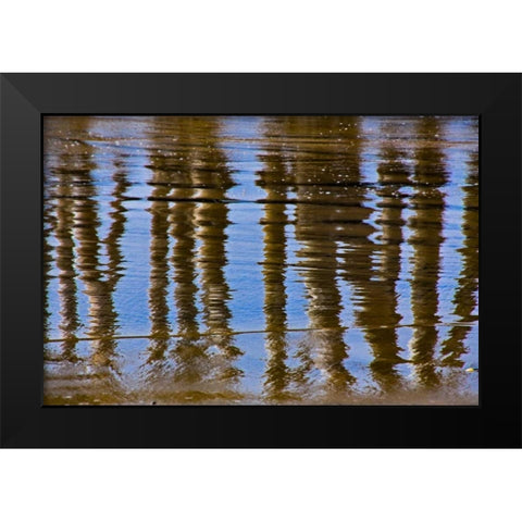 Pier Reflections II Black Modern Wood Framed Art Print by Peterson, Lee