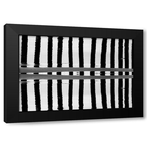 Reflected Dual Pilings Black Modern Wood Framed Art Print with Double Matting by Peterson, Lee