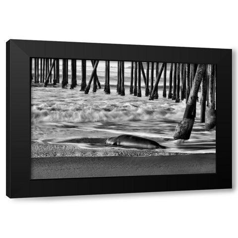 San Simeon Pier BW Black Modern Wood Framed Art Print by Peterson, Lee