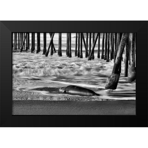 San Simeon Pier BW Black Modern Wood Framed Art Print by Peterson, Lee