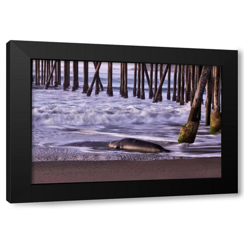 San Simeon Pier I Black Modern Wood Framed Art Print with Double Matting by Peterson, Lee