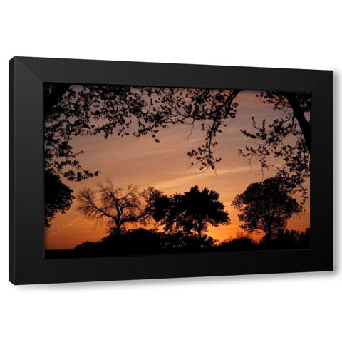 Unity Sunset Black Modern Wood Framed Art Print with Double Matting by Putman, Tammy