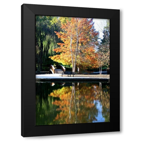 Fall Colors Black Modern Wood Framed Art Print with Double Matting by Putman, Tammy