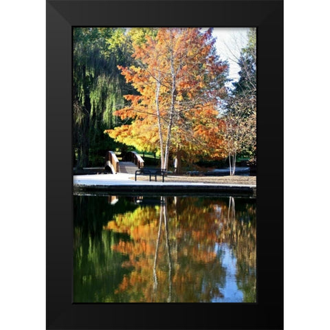 Fall Colors Black Modern Wood Framed Art Print by Putman, Tammy