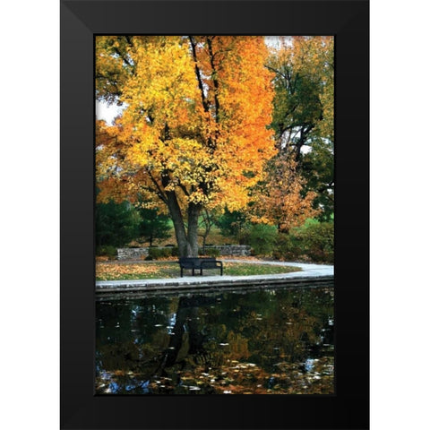 Fall in the Park Black Modern Wood Framed Art Print by Putman, Tammy