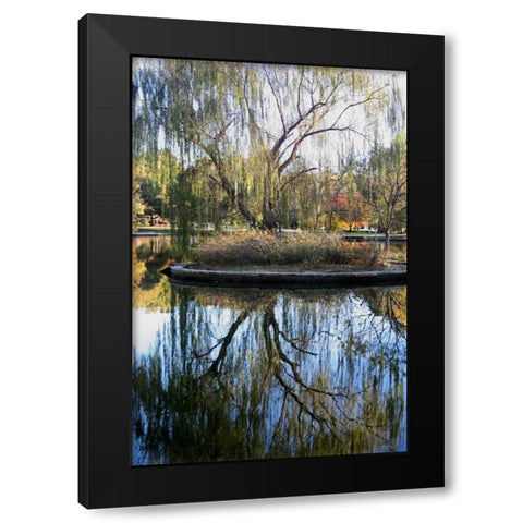 Willow in Fall Black Modern Wood Framed Art Print with Double Matting by Putman, Tammy