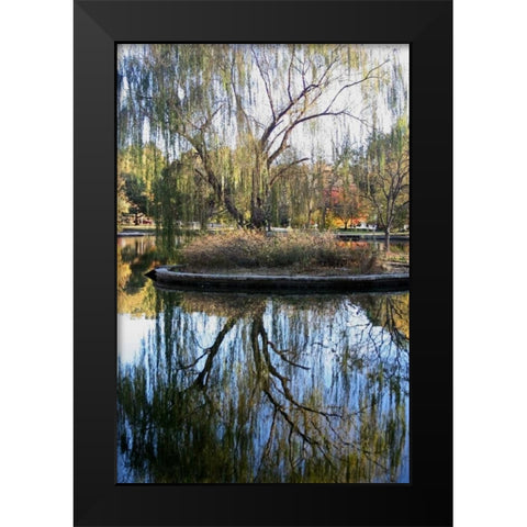 Willow in Fall Black Modern Wood Framed Art Print by Putman, Tammy
