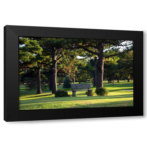 Bench I Black Modern Wood Framed Art Print by Putman, Tammy