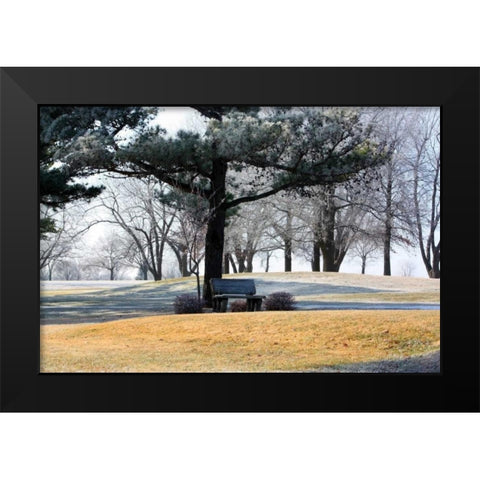 Bench II Black Modern Wood Framed Art Print by Putman, Tammy