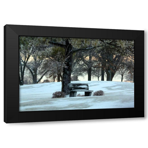 Bench III Black Modern Wood Framed Art Print with Double Matting by Putman, Tammy