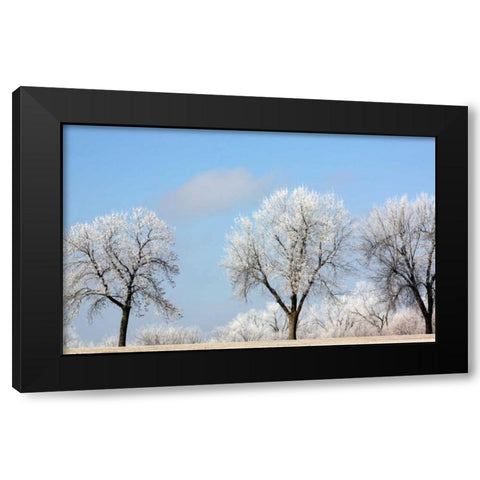 Frozen Fog I Black Modern Wood Framed Art Print by Putman, Tammy