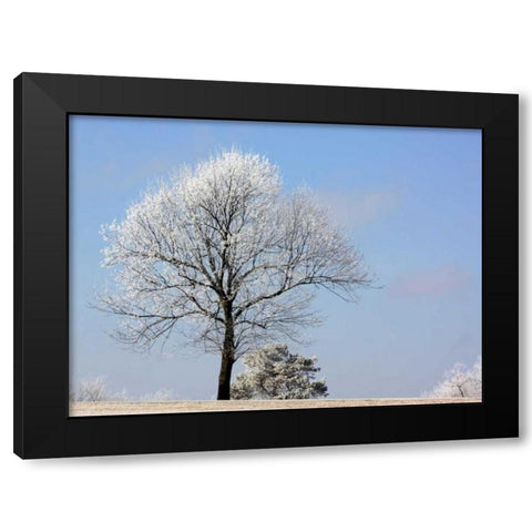 Frozen Fog II Black Modern Wood Framed Art Print with Double Matting by Putman, Tammy