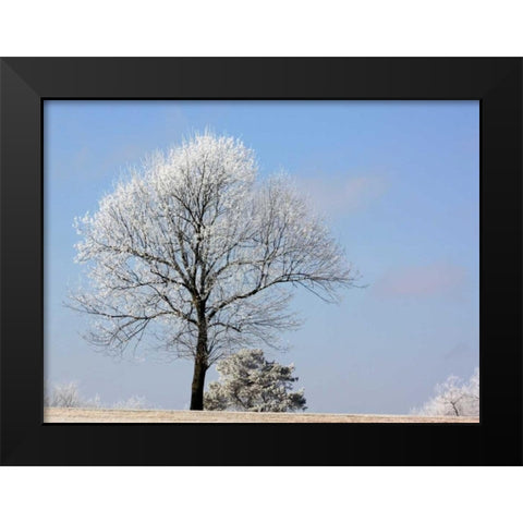 Frozen Fog II Black Modern Wood Framed Art Print by Putman, Tammy