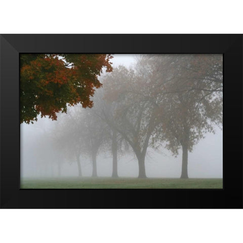 Foggy Trees I Black Modern Wood Framed Art Print by Putman, Tammy