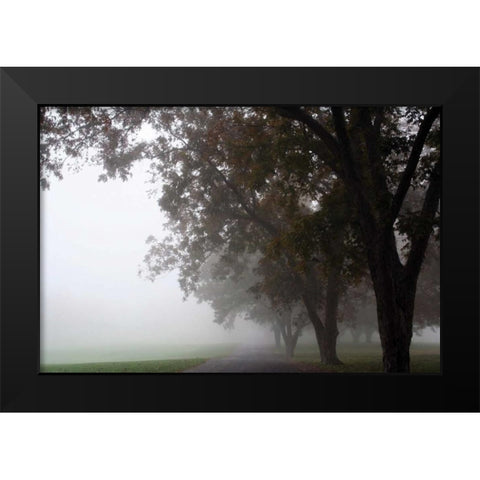 Foggy Trees III Black Modern Wood Framed Art Print by Putman, Tammy