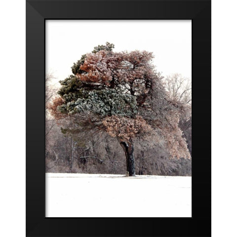 Tree in Snow I Black Modern Wood Framed Art Print by Putman, Tammy