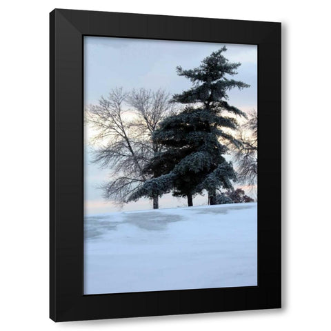 Tree in Snow II Black Modern Wood Framed Art Print with Double Matting by Putman, Tammy