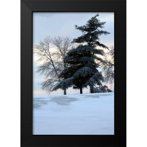 Tree in Snow II Black Modern Wood Framed Art Print by Putman, Tammy