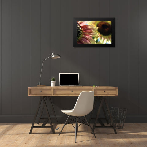 Sunflower II Black Modern Wood Framed Art Print by Putman, Tammy
