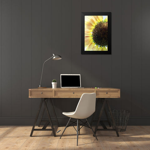 Sunflower VI Black Modern Wood Framed Art Print by Putman, Tammy
